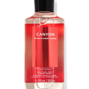 Bath and Bodyworks Canyon  3-in-1 Hair, Face & Body Wash for Men